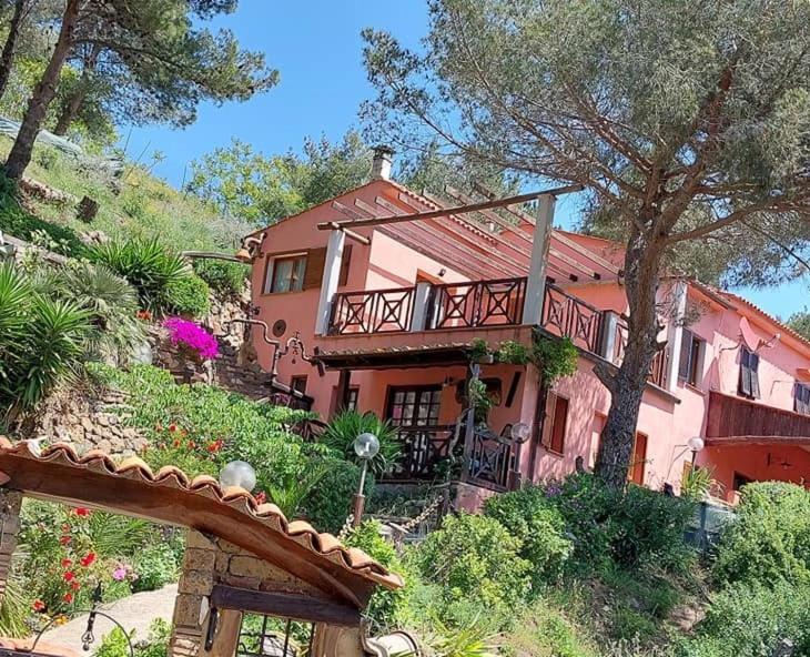 Villetta Dei Fichi D'India Rio dellʼElba Εξωτερικό φωτογραφία