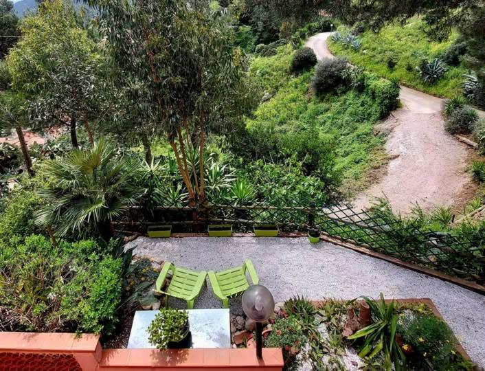 Villetta Dei Fichi D'India Rio dellʼElba Εξωτερικό φωτογραφία